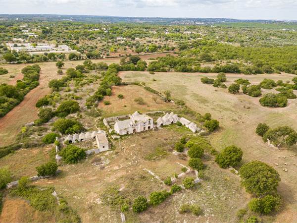 Ancient farmhouse with 100 hectares of land 
